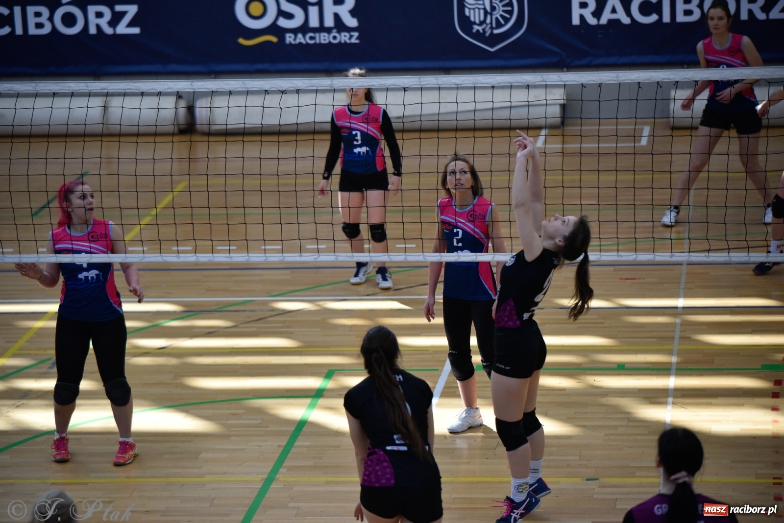 Zdjęcie w galerii na portalu naszraciborz.pl: Siatkarska niedziela z RLPS [FOTO] wiadomości z regionu