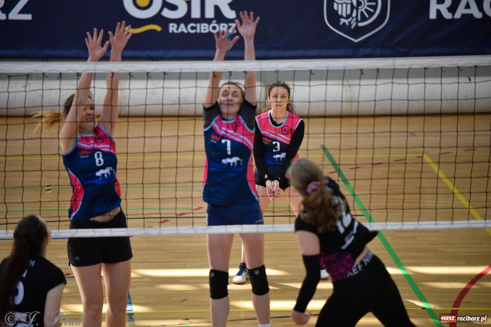 Zdjęcie w galerii na portalu naszraciborz.pl: Siatkarska niedziela z RLPS [FOTO] wiadomości z regionu