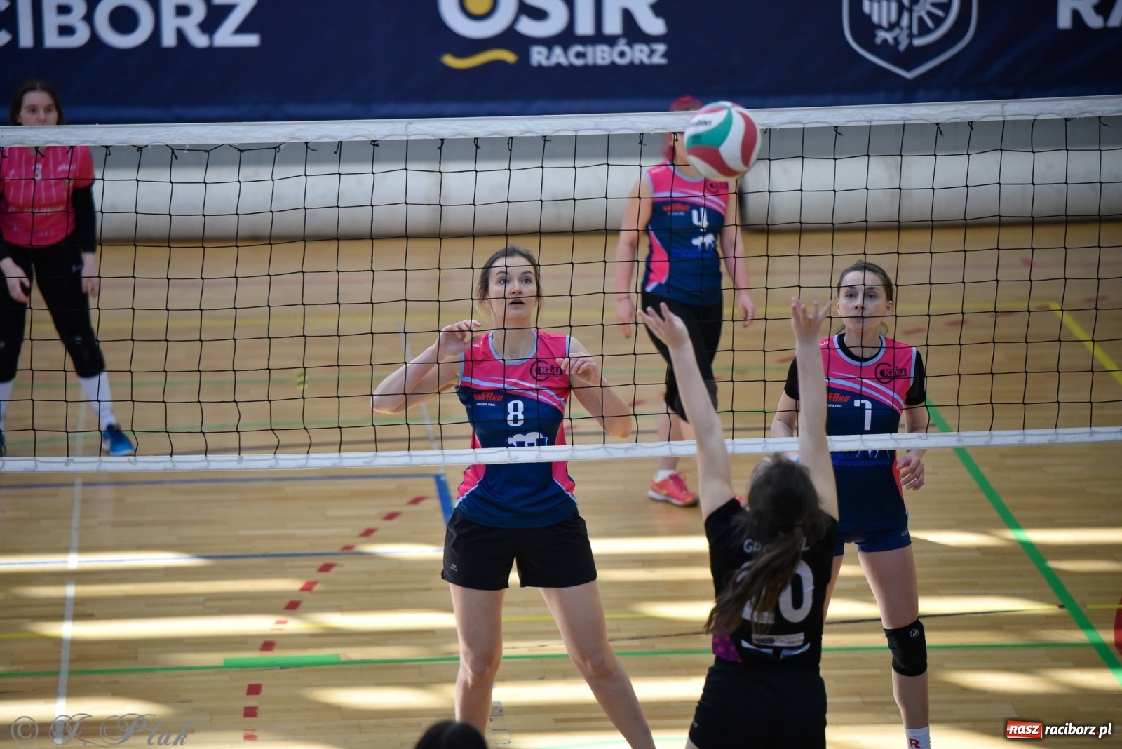 Zdjęcie w galerii na portalu naszraciborz.pl: Siatkarska niedziela z RLPS [FOTO] wiadomości z regionu