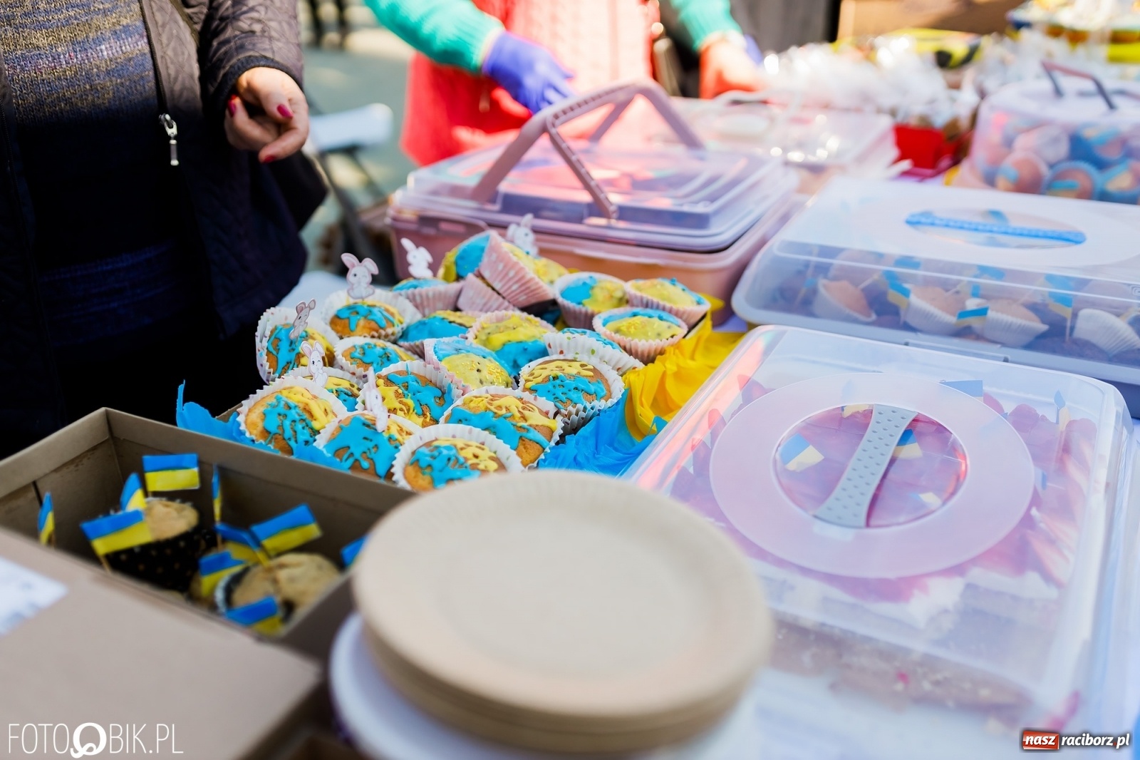 Zdjęcie w galerii na portalu naszraciborz.pl: Powitanie wiosny w Ogródku Jordanowskim [FOTO i WIDEO] wiadomości z regionu