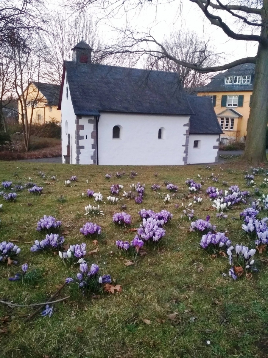 Zdjęcie w galerii na portalu naszraciborz.pl: Studenci PWSZ i uczniowie Mechanika w Königswinter wiadomości z regionu