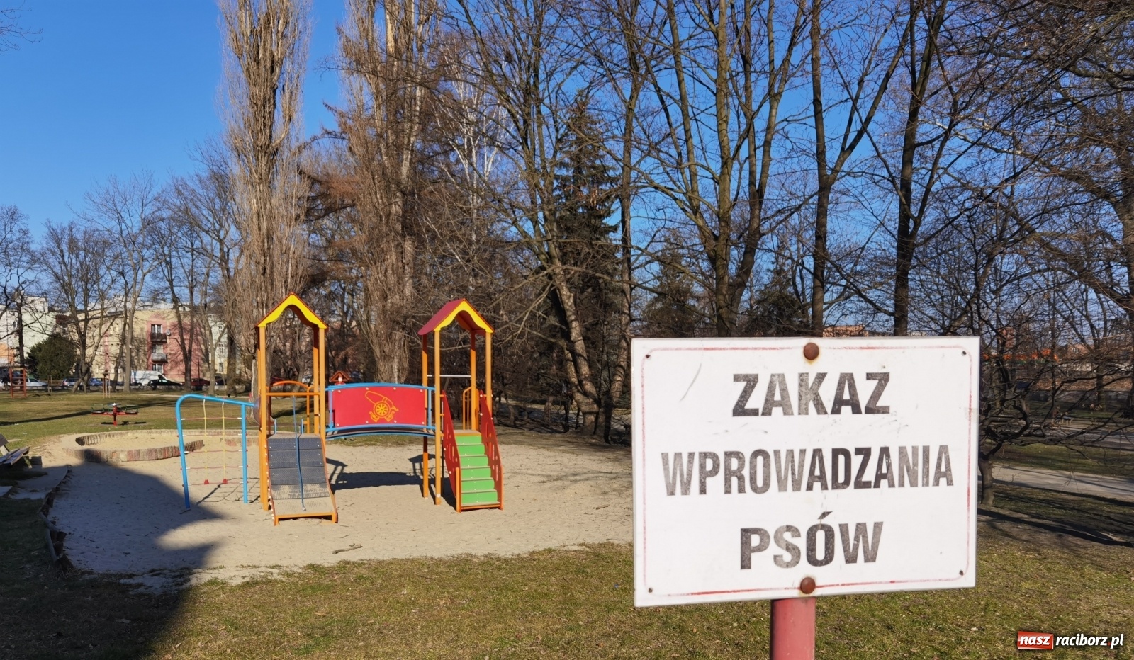 Zdjęcie w galerii na portalu naszraciborz.pl: Piaskownica zamieniona w kuwetę. Co na to magistrat?  wiadomości z regionu