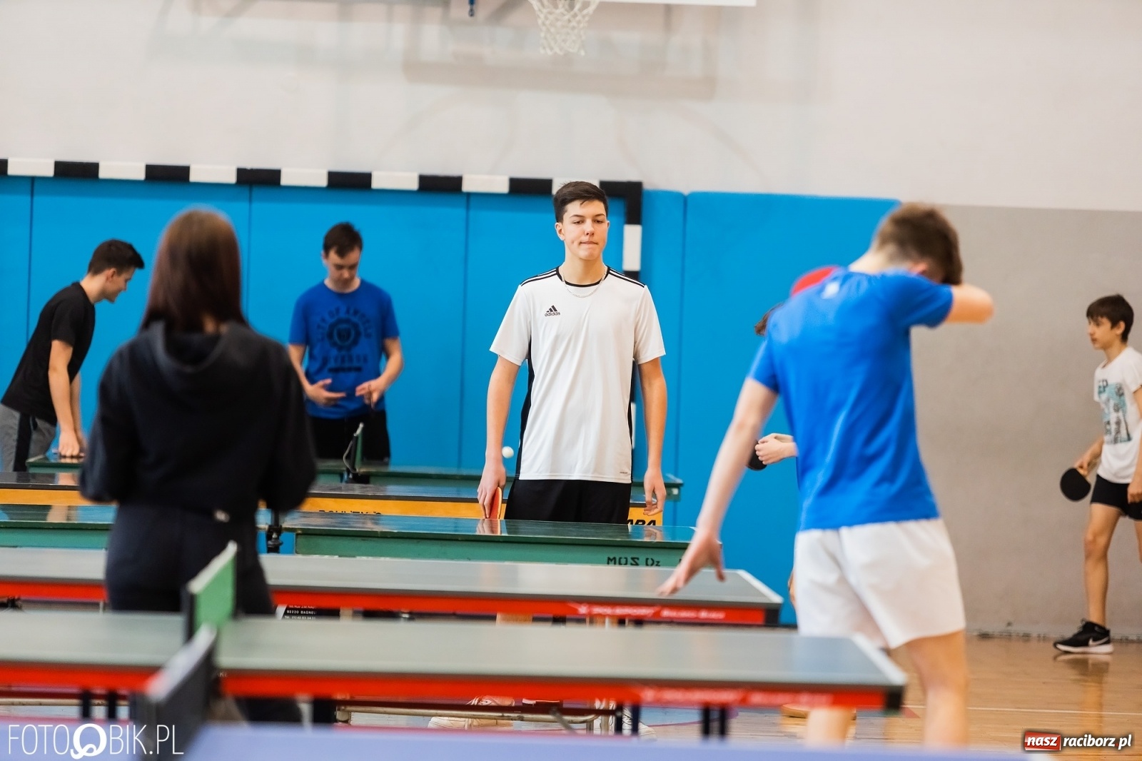 Zdjęcie w galerii na portalu naszraciborz.pl: Tenis stołowy szkół podstawowych w PCS wiadomości z regionu