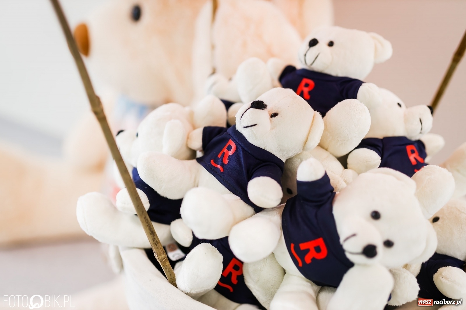 Zdjęcie w galerii na portalu naszraciborz.pl: Nowy raciborski żłobek z klimatyzacją. Zobaczcie wnętrza wiadomości z regionu