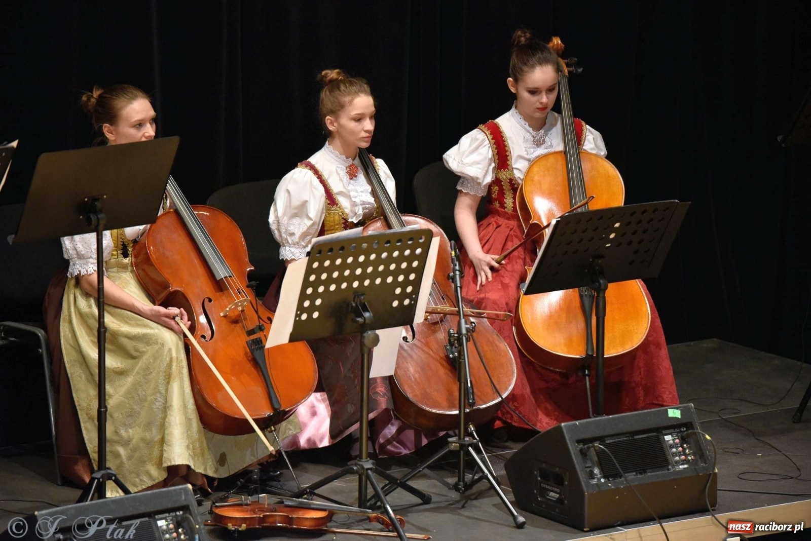 Zdjęcie w galerii na portalu naszraciborz.pl: Zespoły Źródła w koncercie charytatywnym na rzecz Kamilka wiadomości z regionu