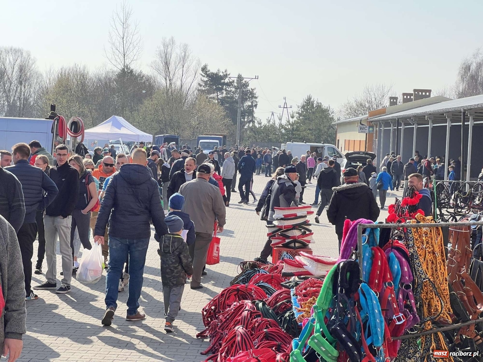 Zdjęcie w galerii na portalu naszraciborz.pl: Wojna w Ukrainie odbiła się na handlu starociami wiadomości z regionu