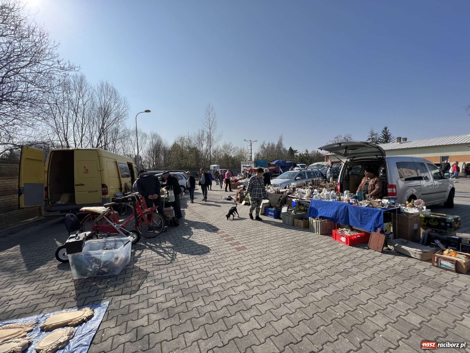 Zdjęcie w galerii na portalu naszraciborz.pl: Wojna w Ukrainie odbiła się na handlu starociami wiadomości z regionu