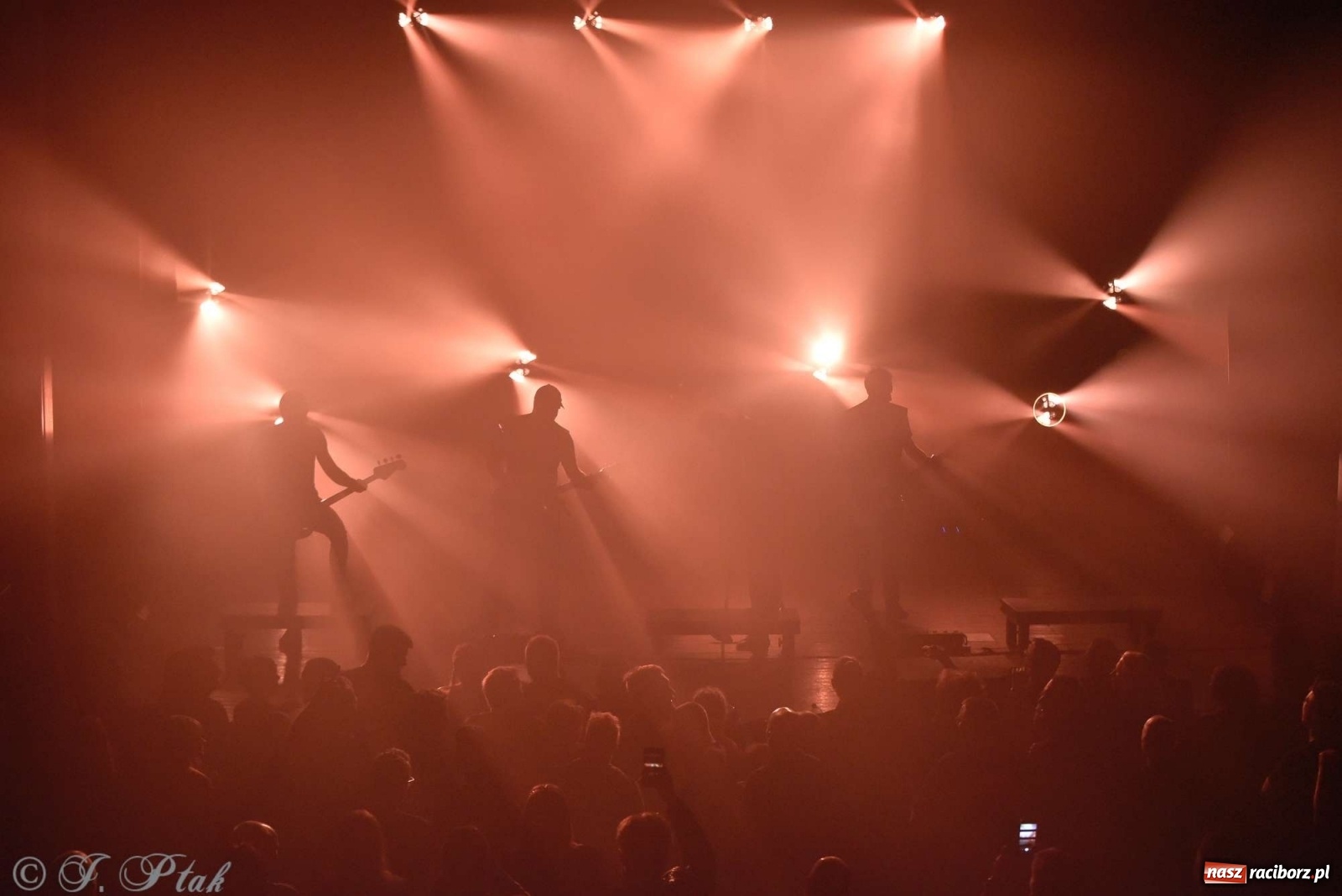 Zdjęcie w galerii na portalu naszraciborz.pl: NOCNY KOCHANEK w Raciborzu. Mocne brzmienie na deskach RCK wiadomości z regionu