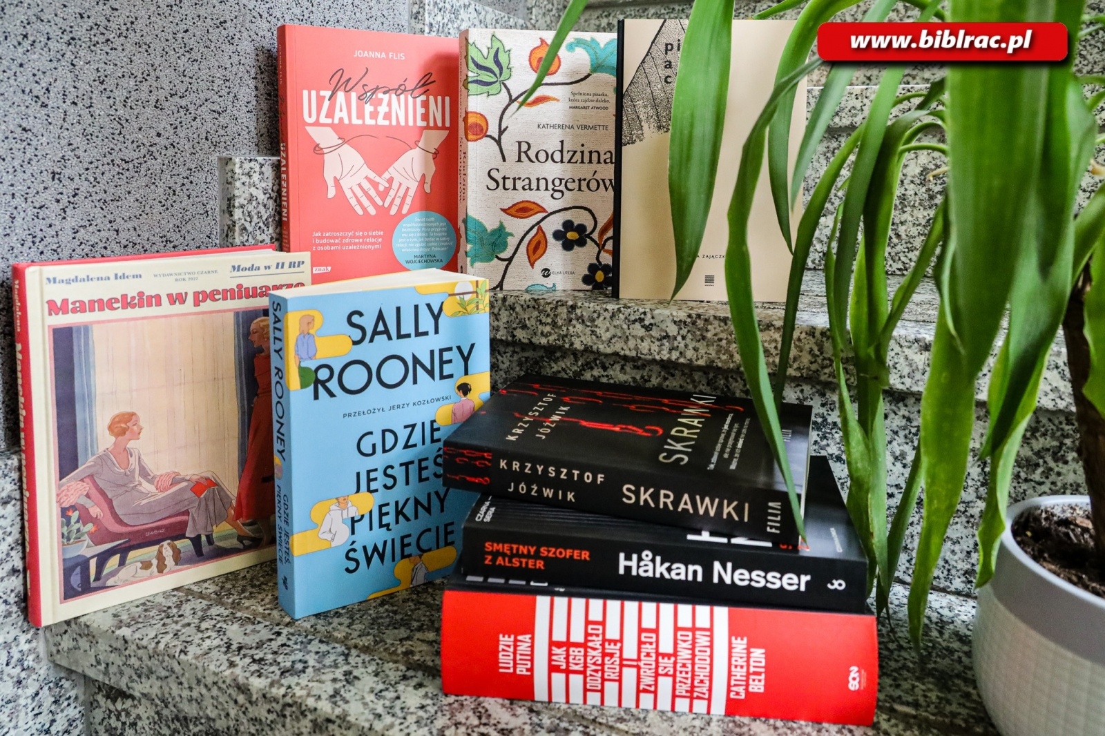 Zdjęcie w galerii na portalu naszraciborz.pl: Nowości na półkach raciborskiej biblioteki wiadomości z regionu