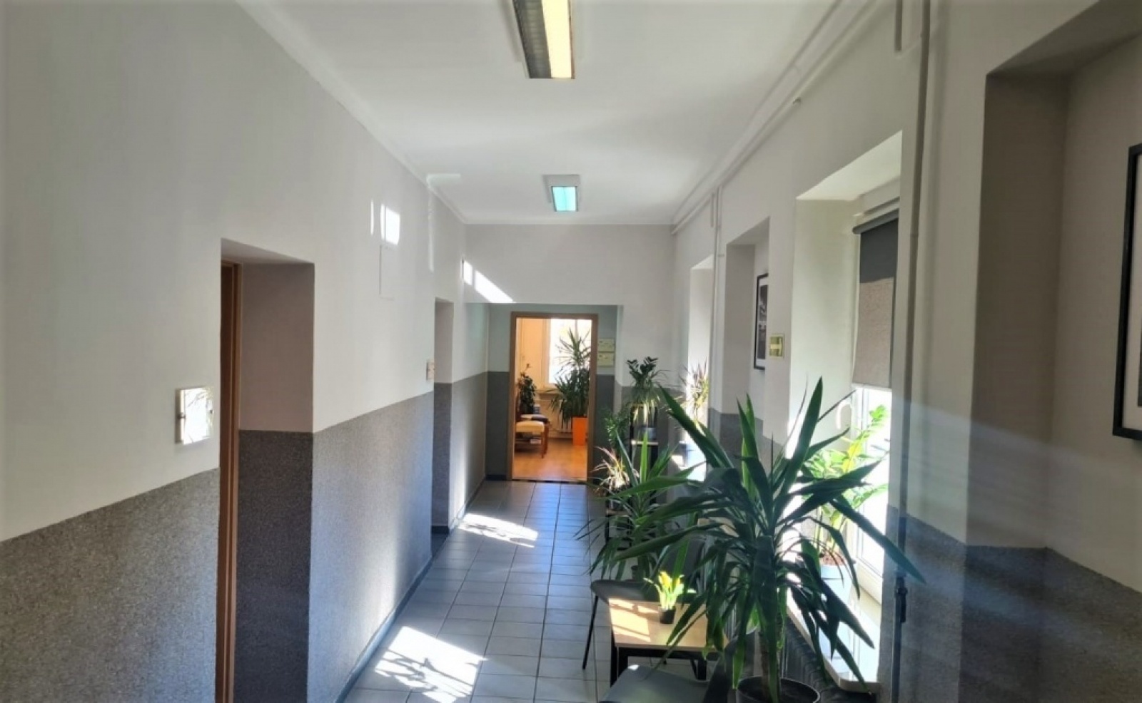 Zdjęcie w galerii na portalu naszraciborz.pl: Raciborski urząd pracy po modernizacji wiadomości z regionu