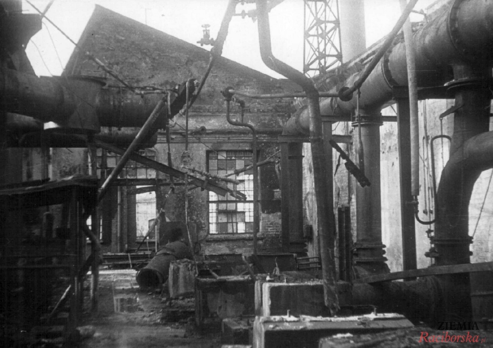 Zdjęcie w galerii na portalu naszraciborz.pl: Tak będzie ze wszystkimi! Sowieckie zbrodnie w Raciborzu 1945 r. wiadomości z regionu