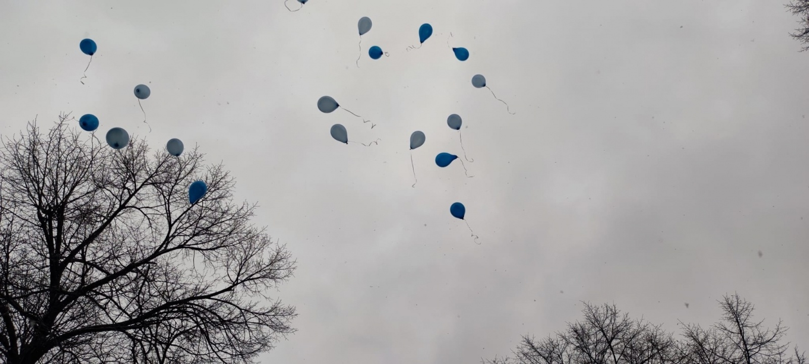 Zdjęcie w galerii na portalu naszraciborz.pl: AUTYZM – wiem i rozumiem. Wręczono nagrody [WIDEO] wiadomości z regionu