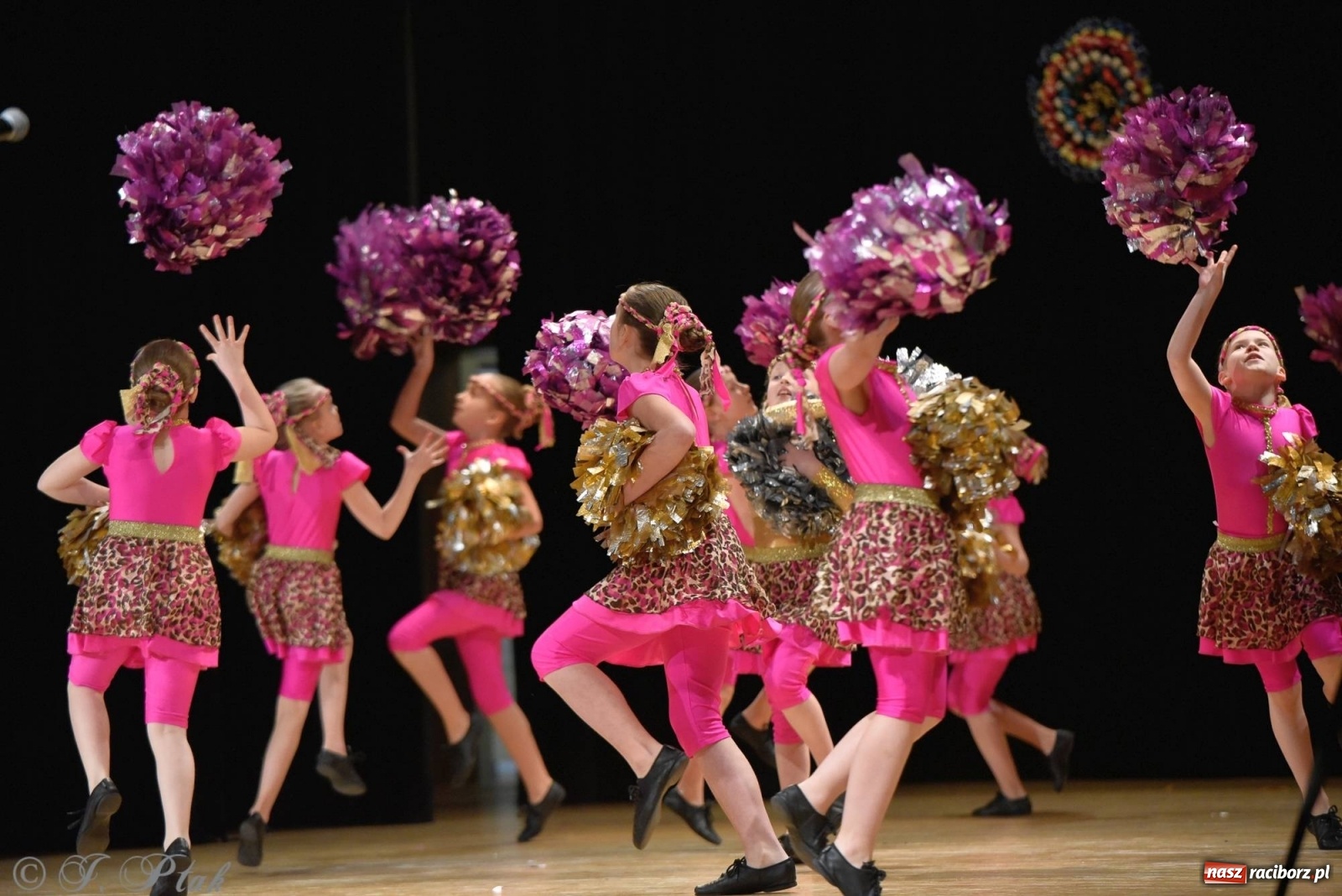 Zdjęcie w galerii na portalu naszraciborz.pl: Zespoły Źródła wspierają Kamilka. Piękny koncert w RCK [FOTO i WIDEO] wiadomości z regionu