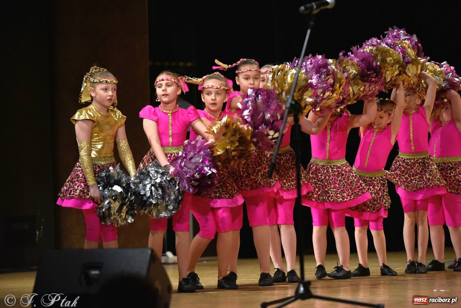 Zdjęcie w galerii na portalu naszraciborz.pl: Zespoły Źródła wspierają Kamilka. Piękny koncert w RCK [FOTO i WIDEO] wiadomości z regionu