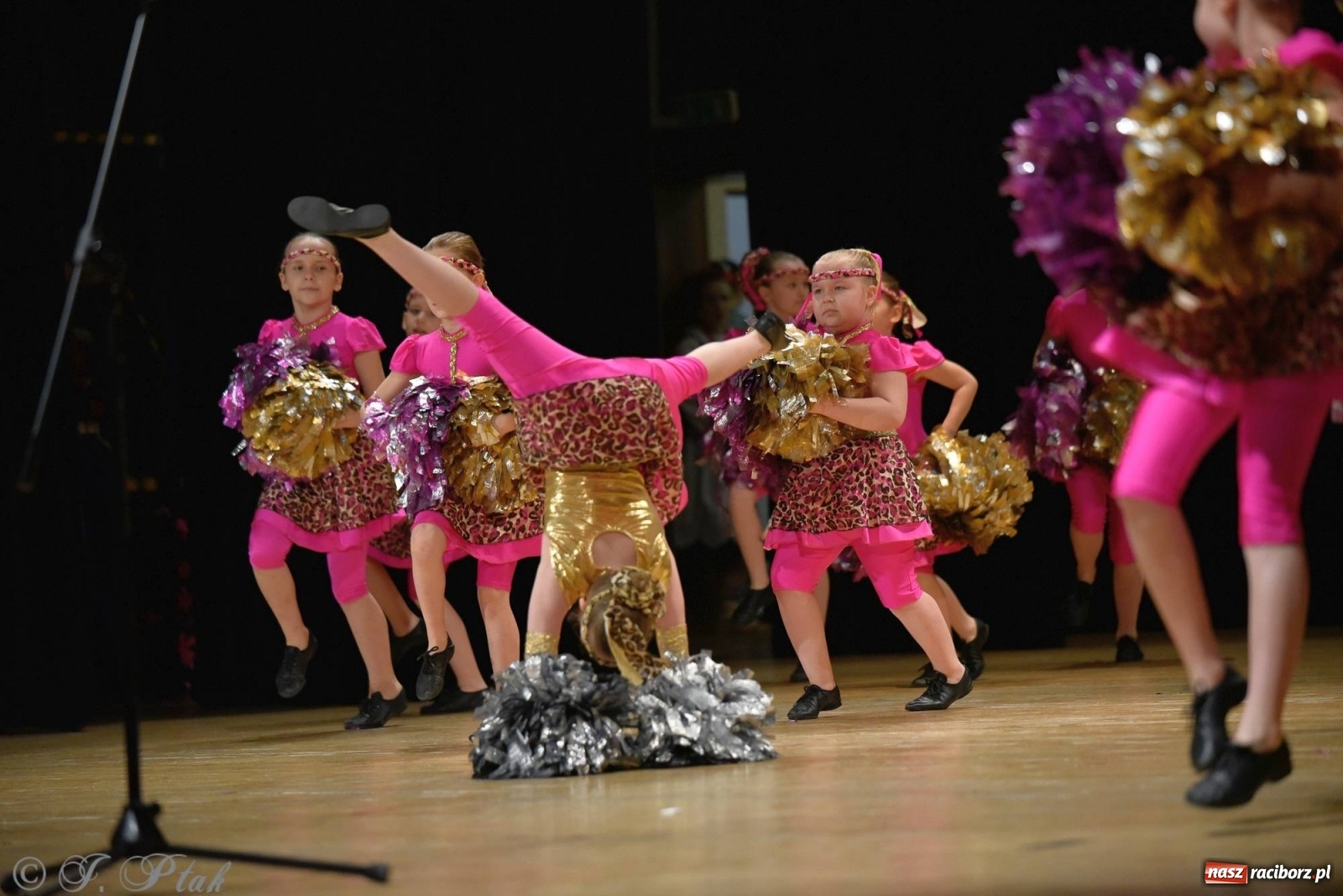 Zdjęcie w galerii na portalu naszraciborz.pl: Zespoły Źródła wspierają Kamilka. Piękny koncert w RCK [FOTO i WIDEO] wiadomości z regionu