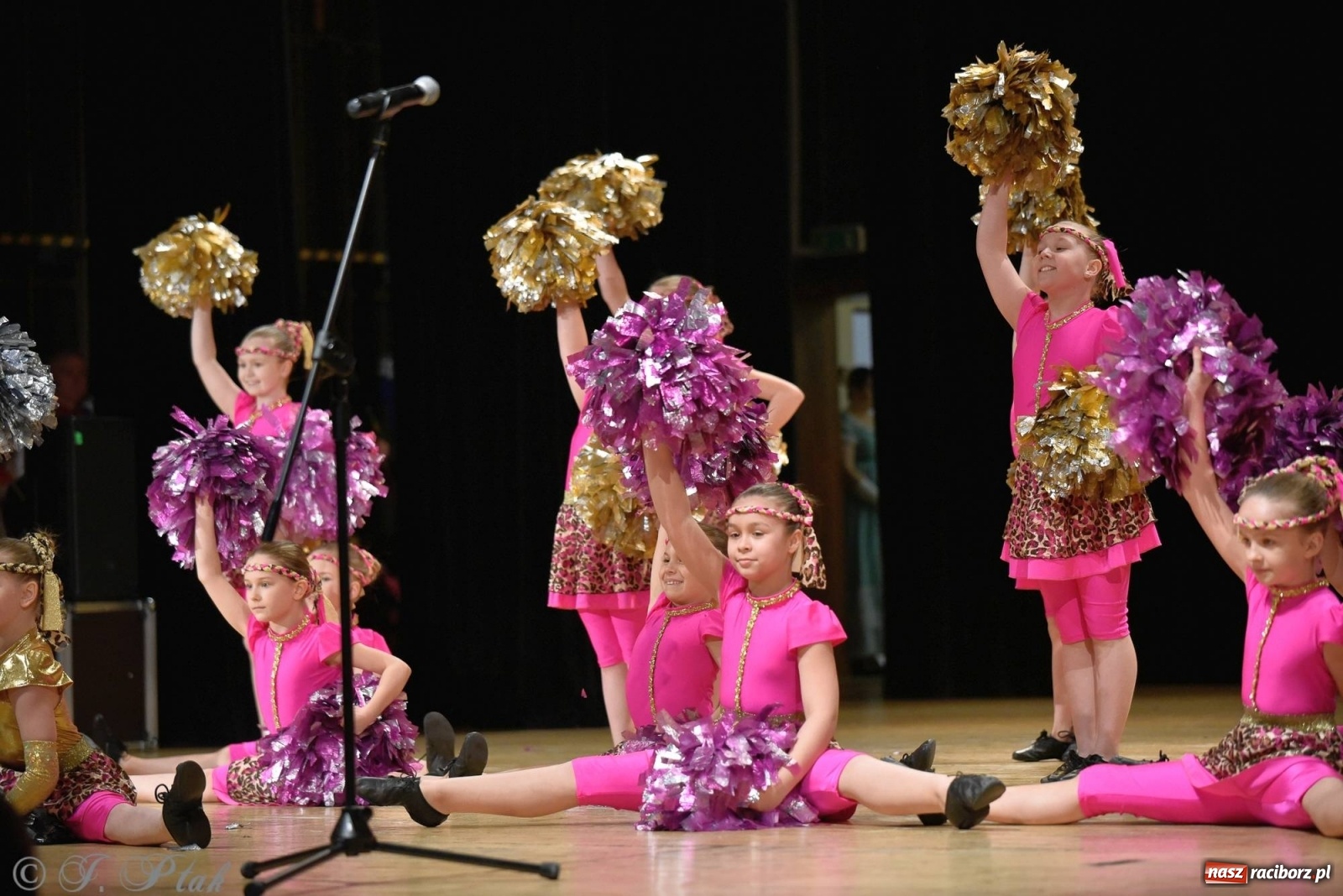 Zdjęcie w galerii na portalu naszraciborz.pl: Zespoły Źródła wspierają Kamilka. Piękny koncert w RCK [FOTO i WIDEO] wiadomości z regionu