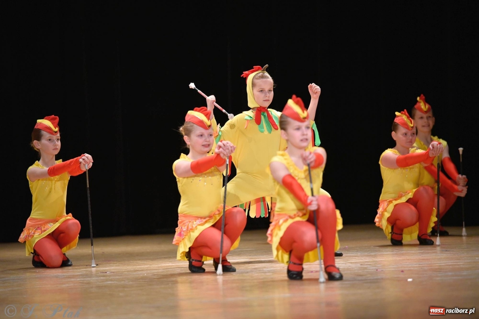 Zdjęcie w galerii na portalu naszraciborz.pl: Zespoły Źródła wspierają Kamilka. Piękny koncert w RCK [FOTO i WIDEO] wiadomości z regionu