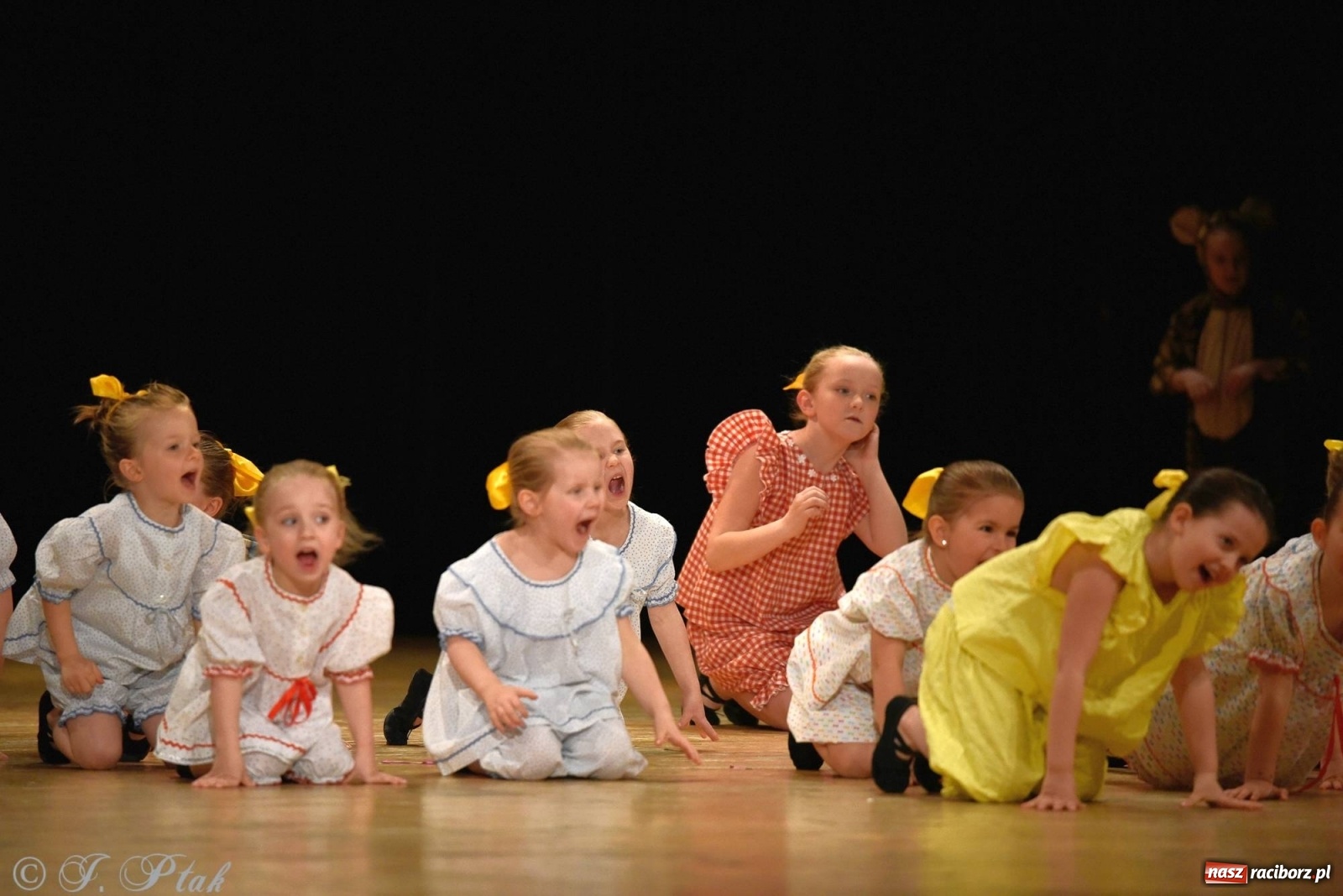 Zdjęcie w galerii na portalu naszraciborz.pl: Zespoły Źródła wspierają Kamilka. Piękny koncert w RCK [FOTO i WIDEO] wiadomości z regionu