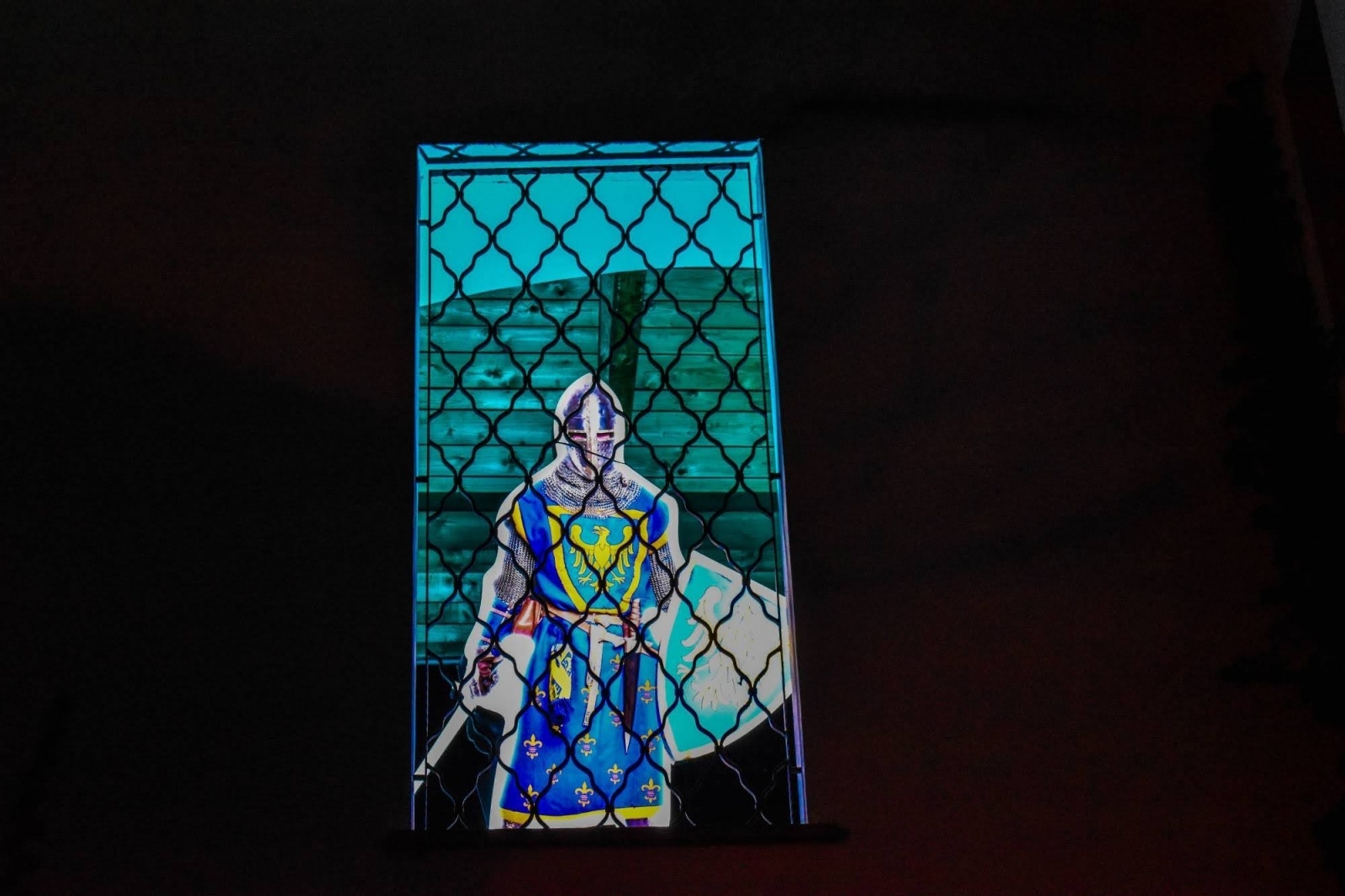 Zdjęcie w galerii na portalu naszraciborz.pl: Zamek Piastowski w niebieskim płaszczu. To ważny symbol! wiadomości z regionu