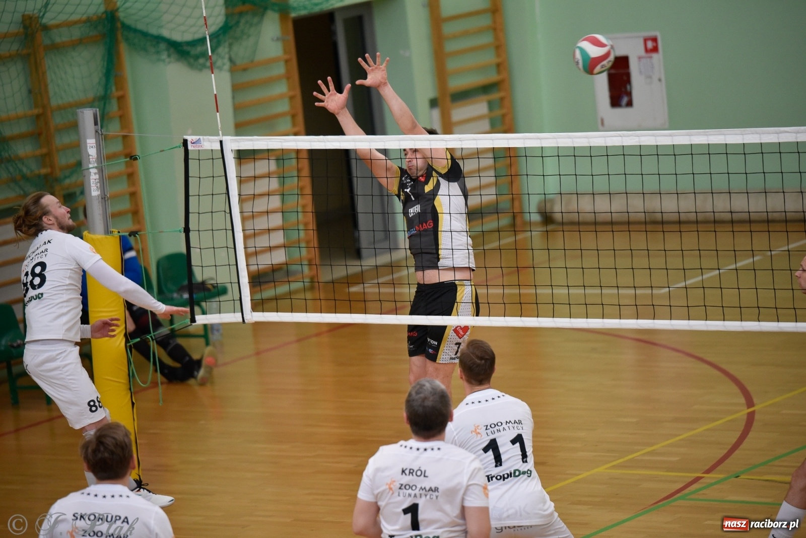 Zdjęcie w galerii na portalu naszraciborz.pl: RLPS. Niespodzianki i wygrane faworytów. Runda zasadnicza dobiegła końca [FOTO] wiadomości z regionu