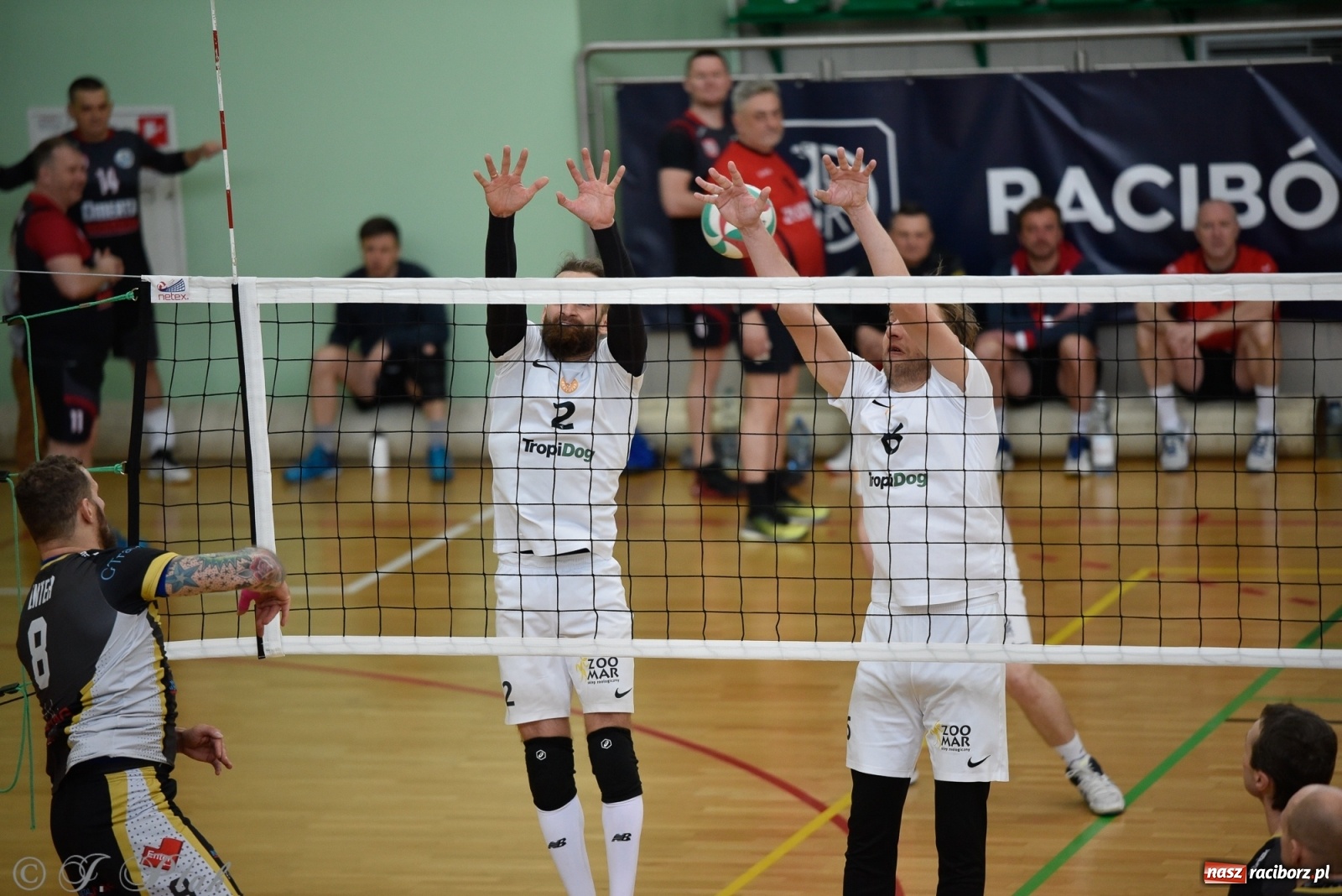 Zdjęcie w galerii na portalu naszraciborz.pl: RLPS. Niespodzianki i wygrane faworytów. Runda zasadnicza dobiegła końca [FOTO] wiadomości z regionu