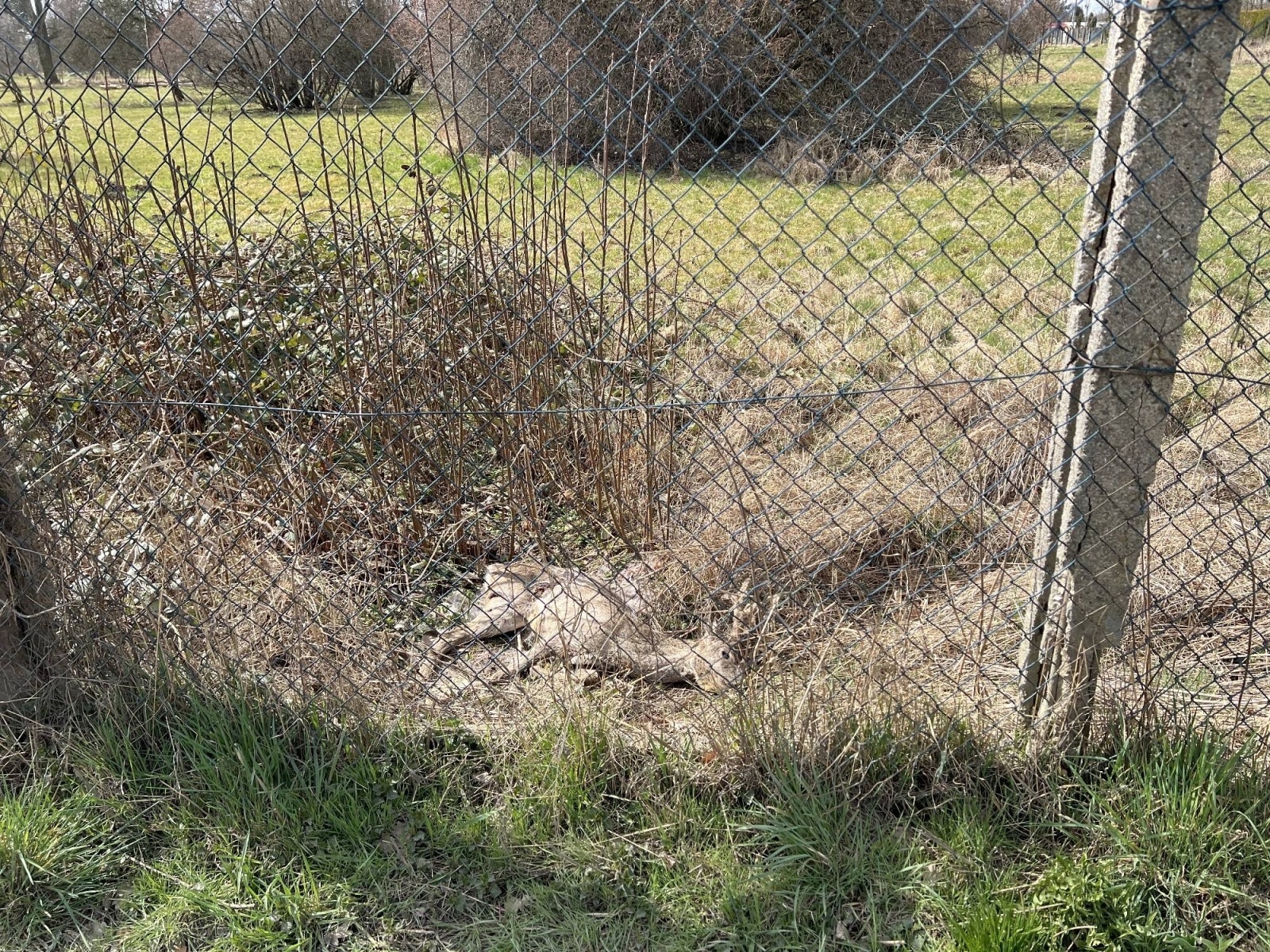 Zdjęcie w galerii na portalu naszraciborz.pl: Koszmarny widok przy Polnej - Źródlanej w Raciborzu wiadomości z regionu