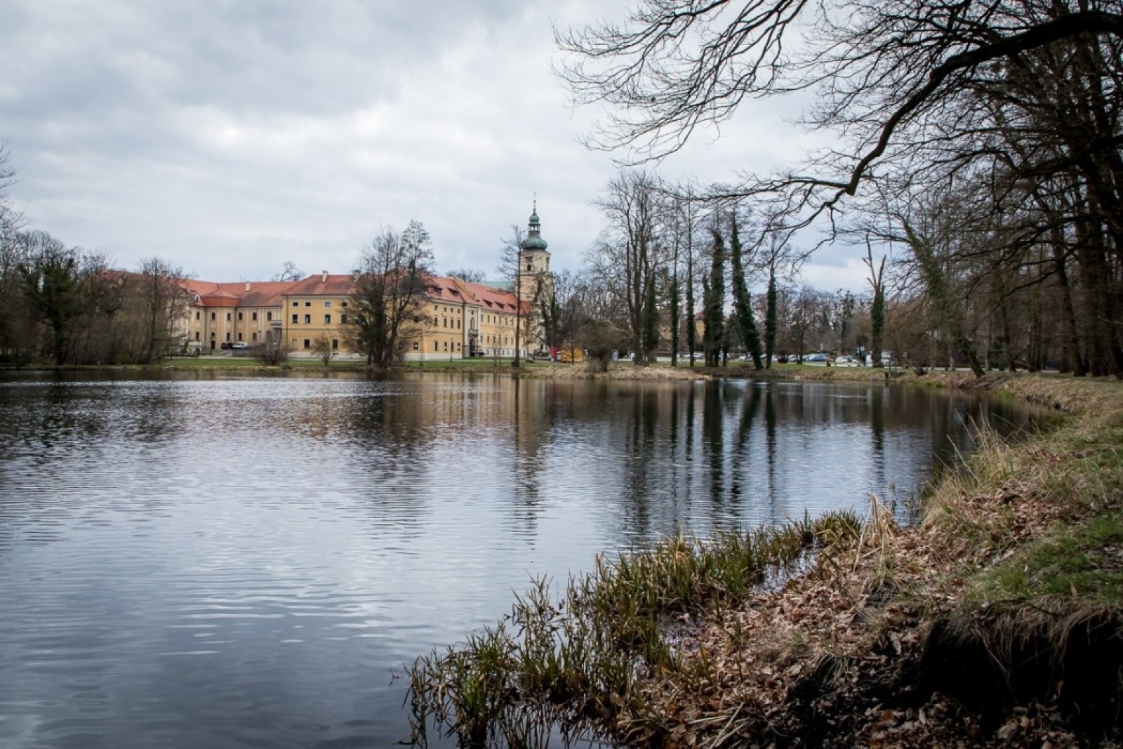 Zdjęcie w galerii na portalu naszraciborz.pl: Park w Rudach zostanie zrewitalizowany wiadomości z regionu
