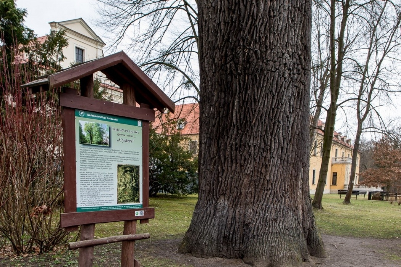 Zdjęcie w galerii na portalu naszraciborz.pl: Park w Rudach zostanie zrewitalizowany wiadomości z regionu