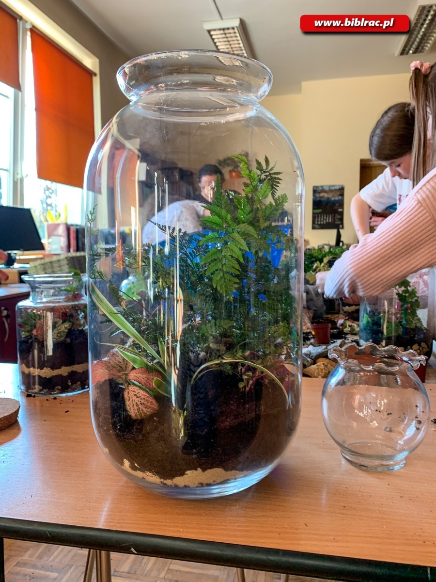 Zdjęcie w galerii na portalu naszraciborz.pl: Na Ocicach zasadzili las w słoikach wiadomości z regionu