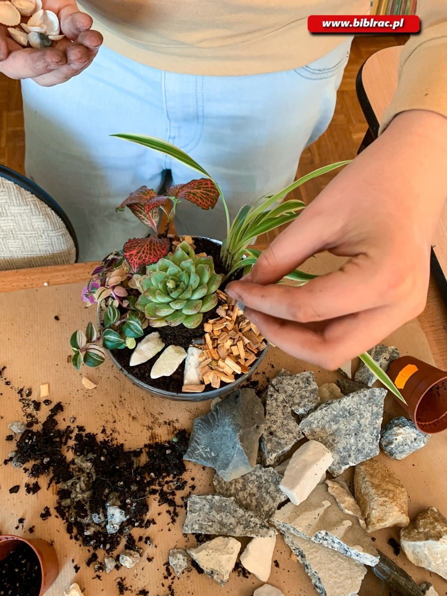 Zdjęcie w galerii na portalu naszraciborz.pl: Na Ocicach zasadzili las w słoikach wiadomości z regionu