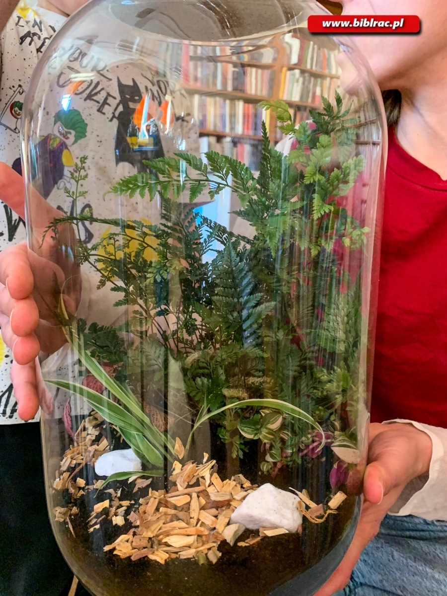 Zdjęcie w galerii na portalu naszraciborz.pl: Na Ocicach zasadzili las w słoikach wiadomości z regionu