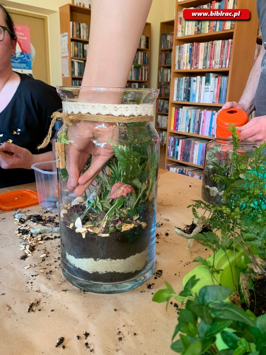 Zdjęcie w galerii na portalu naszraciborz.pl: Na Ocicach zasadzili las w słoikach wiadomości z regionu