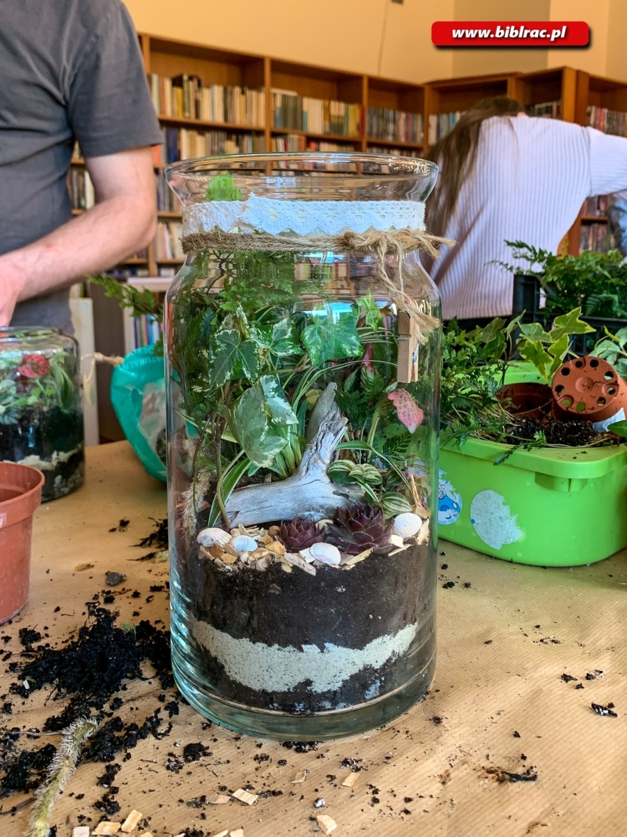 Zdjęcie w galerii na portalu naszraciborz.pl: Na Ocicach zasadzili las w słoikach wiadomości z regionu