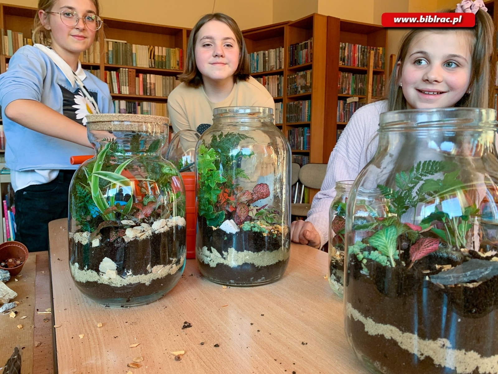 Zdjęcie w galerii na portalu naszraciborz.pl: Na Ocicach zasadzili las w słoikach wiadomości z regionu
