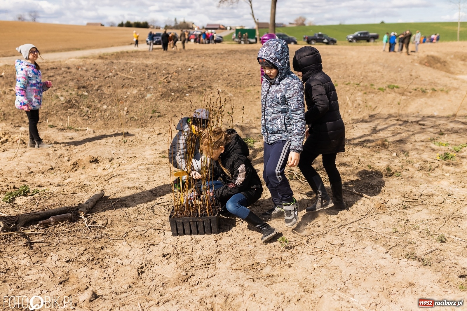 Zdjęcie w galerii na portalu naszraciborz.pl: Oaza zamiast wysypiska. Wiosenne sadzenie drzewek w Krowiarkach [FOTO i WIDEO] wiadomości z regionu