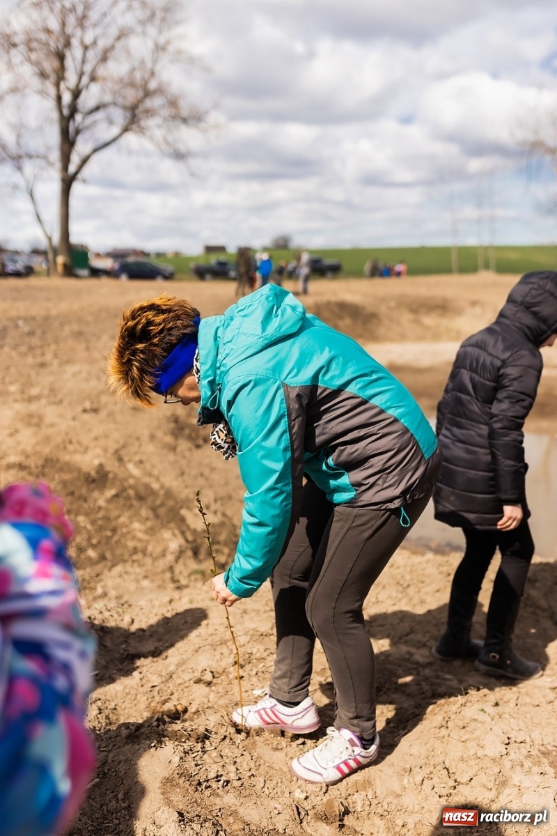 Zdjęcie w galerii na portalu naszraciborz.pl: Oaza zamiast wysypiska. Wiosenne sadzenie drzewek w Krowiarkach [FOTO i WIDEO] wiadomości z regionu