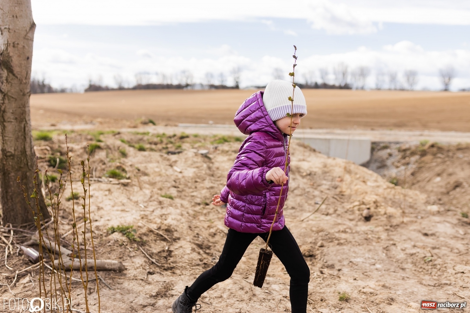Zdjęcie w galerii na portalu naszraciborz.pl: Oaza zamiast wysypiska. Wiosenne sadzenie drzewek w Krowiarkach [FOTO i WIDEO] wiadomości z regionu