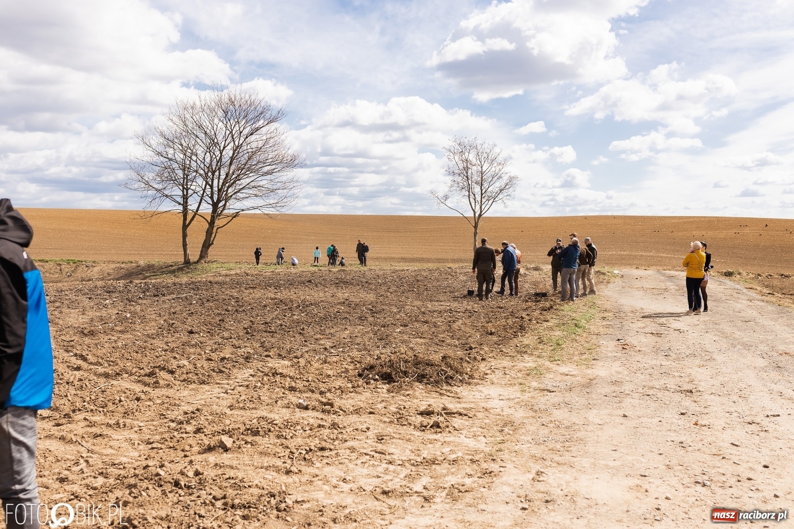 Zdjęcie w galerii na portalu naszraciborz.pl: Oaza zamiast wysypiska. Wiosenne sadzenie drzewek w Krowiarkach [FOTO i WIDEO] wiadomości z regionu