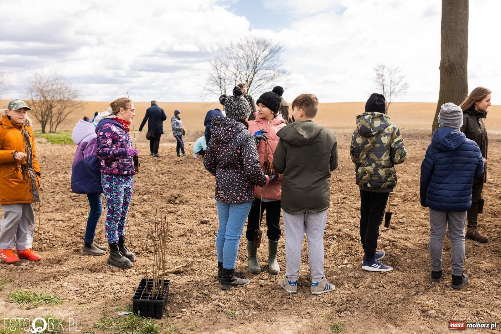 Zdjęcie w galerii na portalu naszraciborz.pl: Oaza zamiast wysypiska. Wiosenne sadzenie drzewek w Krowiarkach [FOTO i WIDEO] wiadomości z regionu
