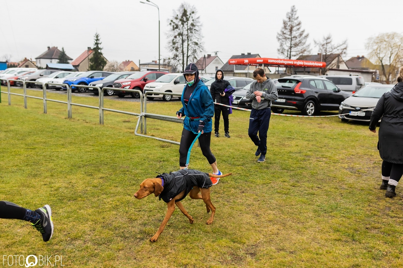 Zdjęcie w galerii na portalu naszraciborz.pl: Kuźniański Półmaraton Leśny. Były prezydent Raciborza pobiegł na swoje 80. urodziny [FOTO i WIDEO] wiadomości z regionu