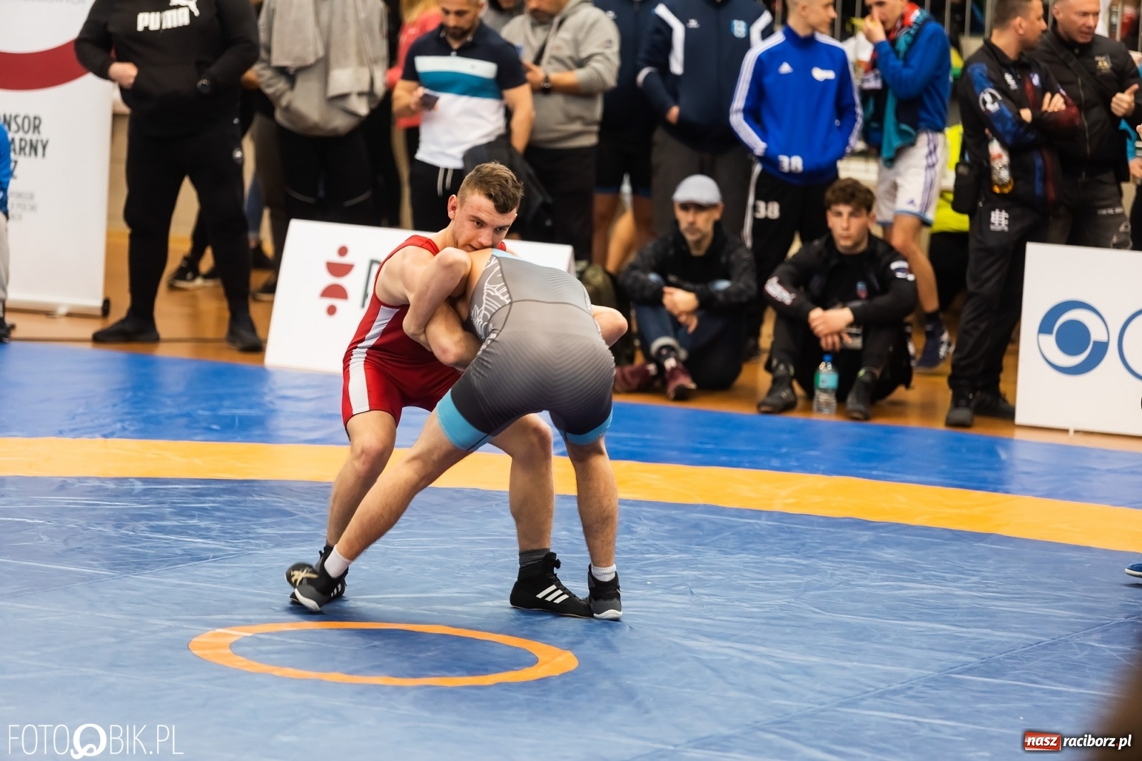Zdjęcie w galerii na portalu naszraciborz.pl: W Arenie Rafako trwają Mistrzostwa Polski Juniorów w Zapasach wiadomości z regionu