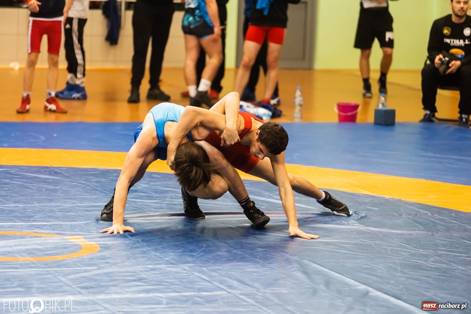 Zdjęcie w galerii na portalu naszraciborz.pl: W Arenie Rafako trwają Mistrzostwa Polski Juniorów w Zapasach wiadomości z regionu