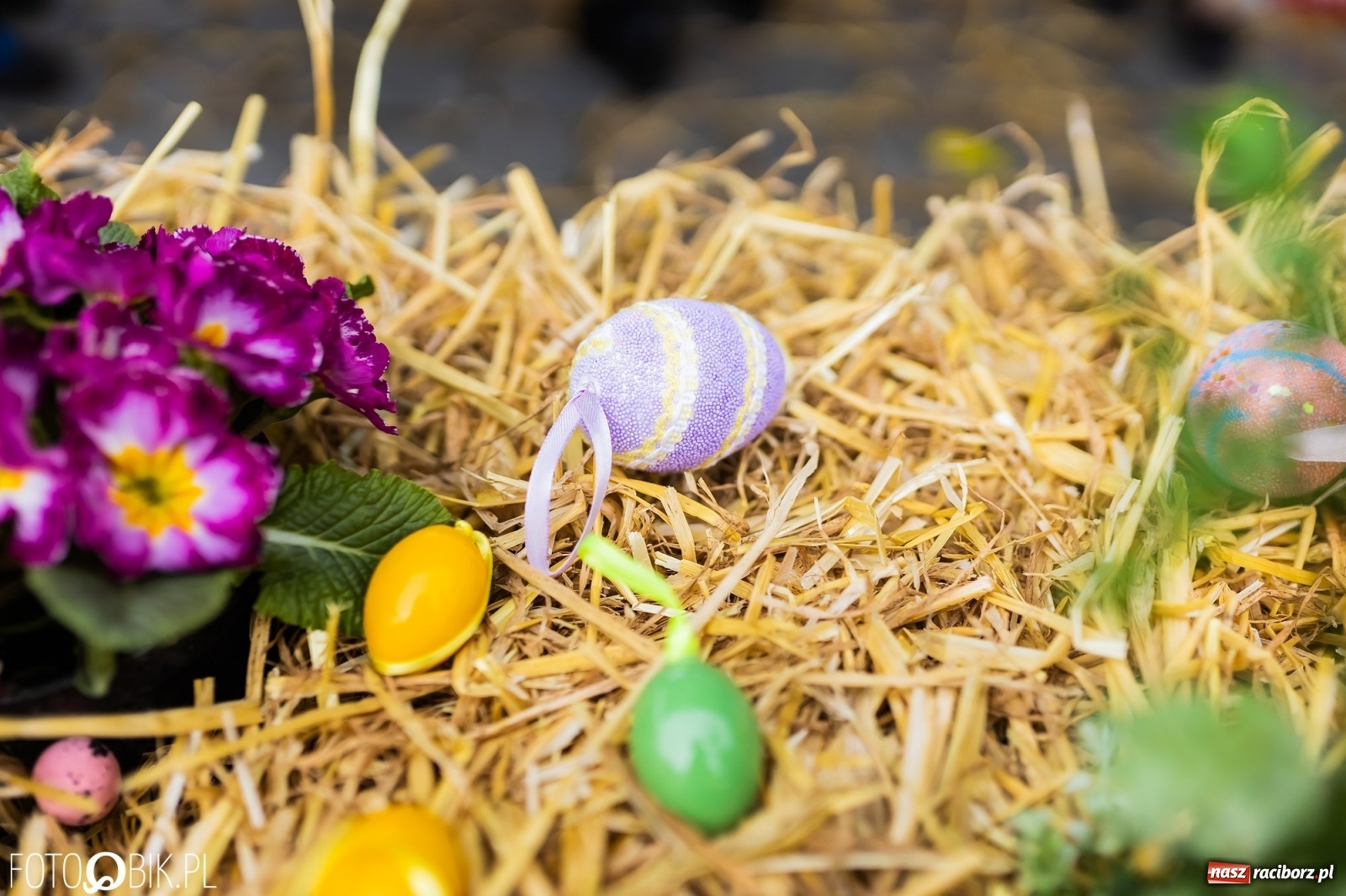 Zdjęcie w galerii na portalu naszraciborz.pl: Sobota na raciborskim jarmarku wielkanocnym [FOTO i WIDEO] wiadomości z regionu