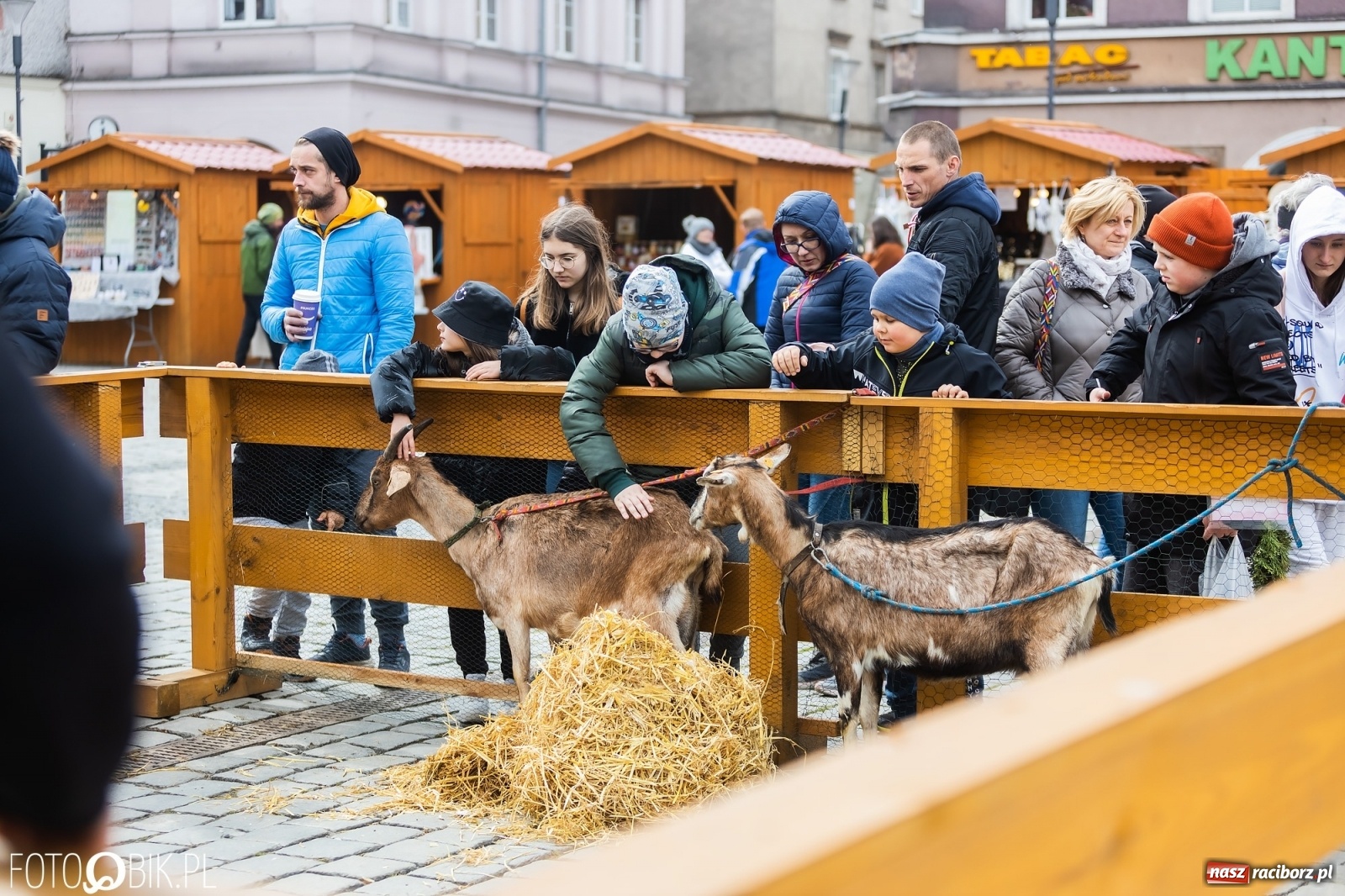 Zdjęcie w galerii na portalu naszraciborz.pl: Sobota na raciborskim jarmarku wielkanocnym [FOTO i WIDEO] wiadomości z regionu