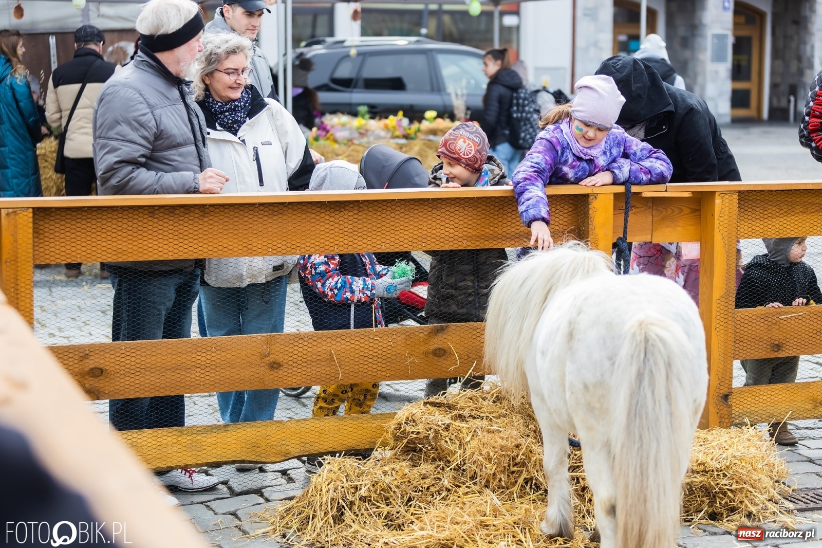 Zdjęcie w galerii na portalu naszraciborz.pl: Sobota na raciborskim jarmarku wielkanocnym [FOTO i WIDEO] wiadomości z regionu