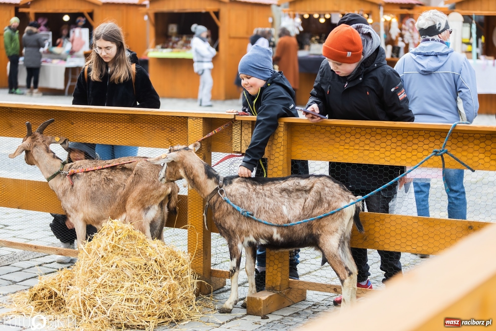 Zdjęcie w galerii na portalu naszraciborz.pl: Sobota na raciborskim jarmarku wielkanocnym [FOTO i WIDEO] wiadomości z regionu