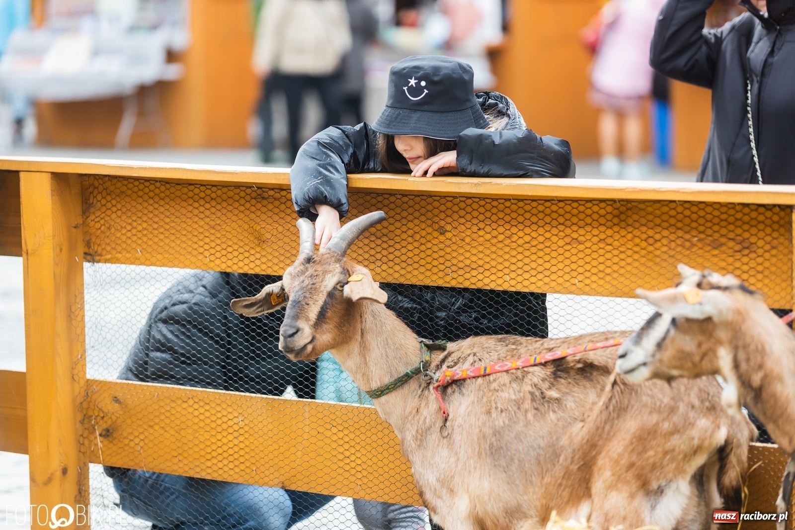 Zdjęcie w galerii na portalu naszraciborz.pl: Sobota na raciborskim jarmarku wielkanocnym [FOTO i WIDEO] wiadomości z regionu