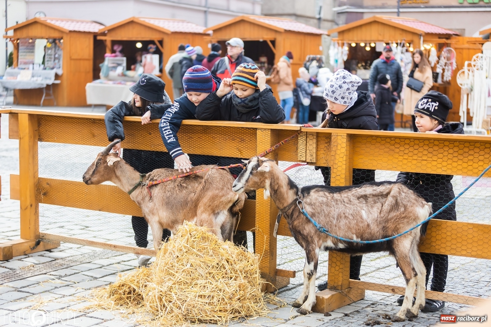 Zdjęcie w galerii na portalu naszraciborz.pl: Sobota na raciborskim jarmarku wielkanocnym [FOTO i WIDEO] wiadomości z regionu