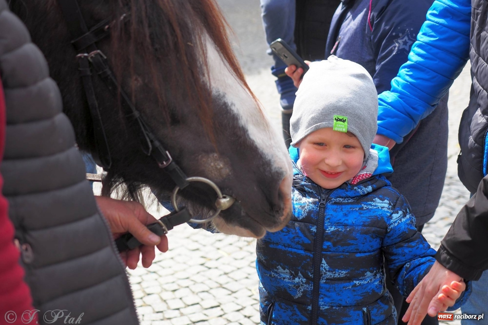 Zdjęcie w galerii na portalu naszraciborz.pl: Pod dobrym aniołem. Wielkanocne inspiracje na jarmarku w Raciborzu wiadomości z regionu