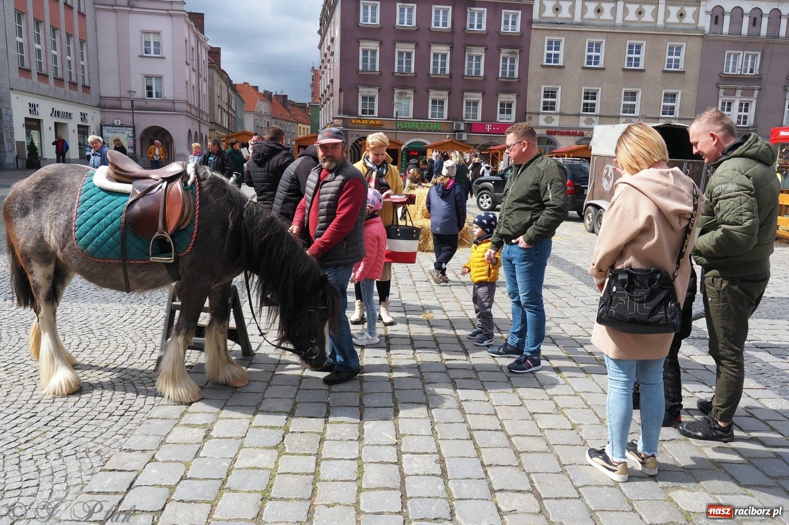 Zdjęcie w galerii na portalu naszraciborz.pl: Pod dobrym aniołem. Wielkanocne inspiracje na jarmarku w Raciborzu wiadomości z regionu